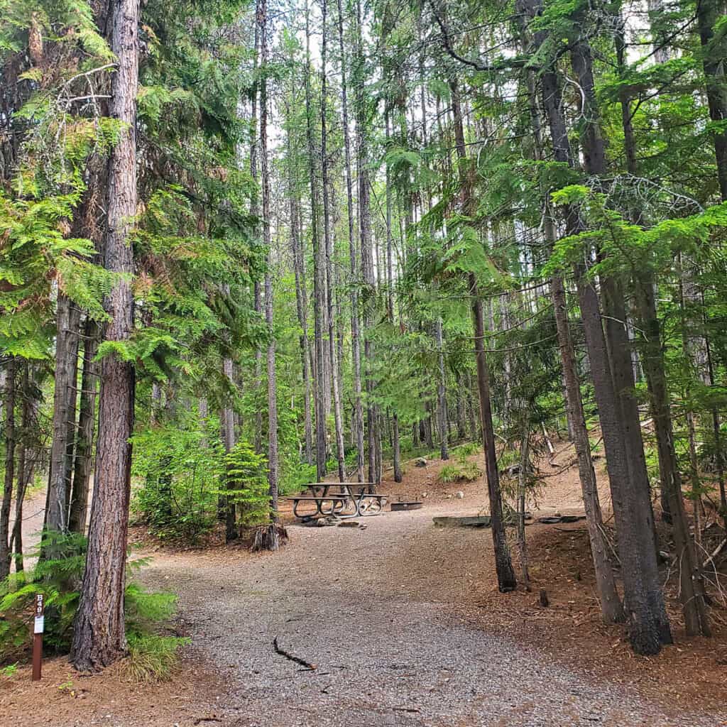 Campsite B49 Fish Creek Campground Glacier National Park