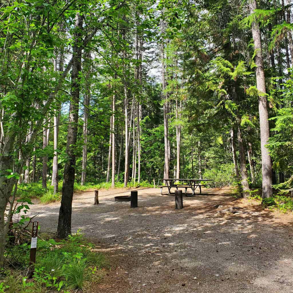 Campsite B67 Fish Creek Campground Glacier National Park