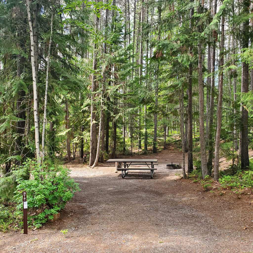 Campsite B78 Fish Creek Campground Glacier National Park