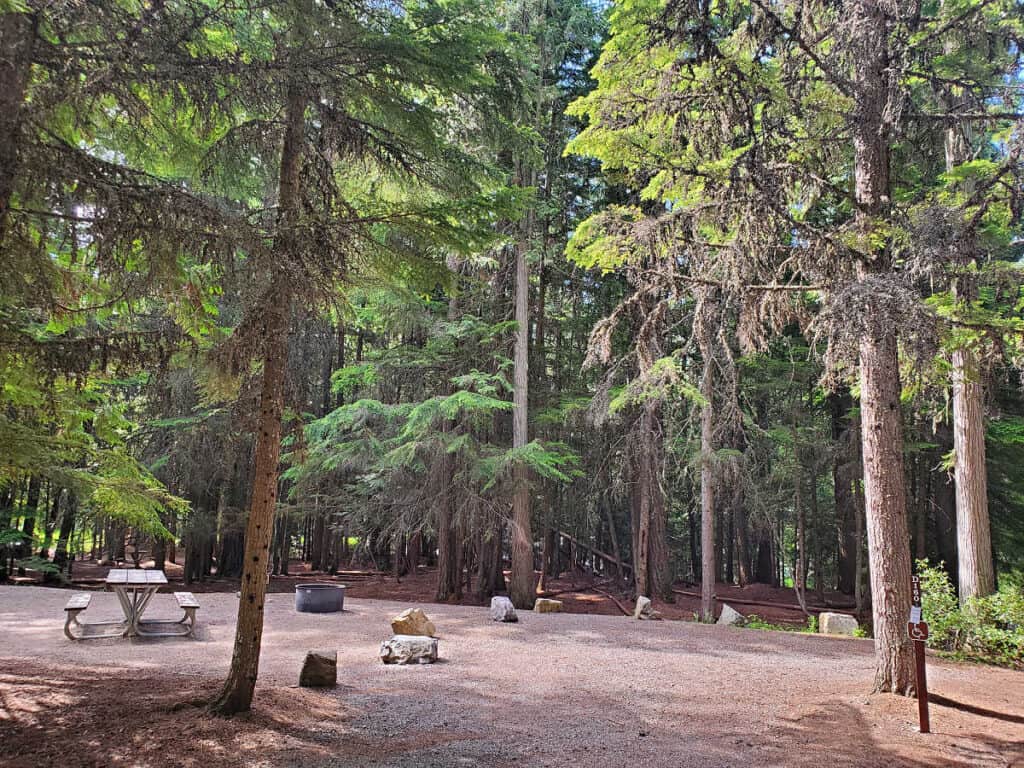 Campsite D160 Fish Creek Campground Glacier National Park
