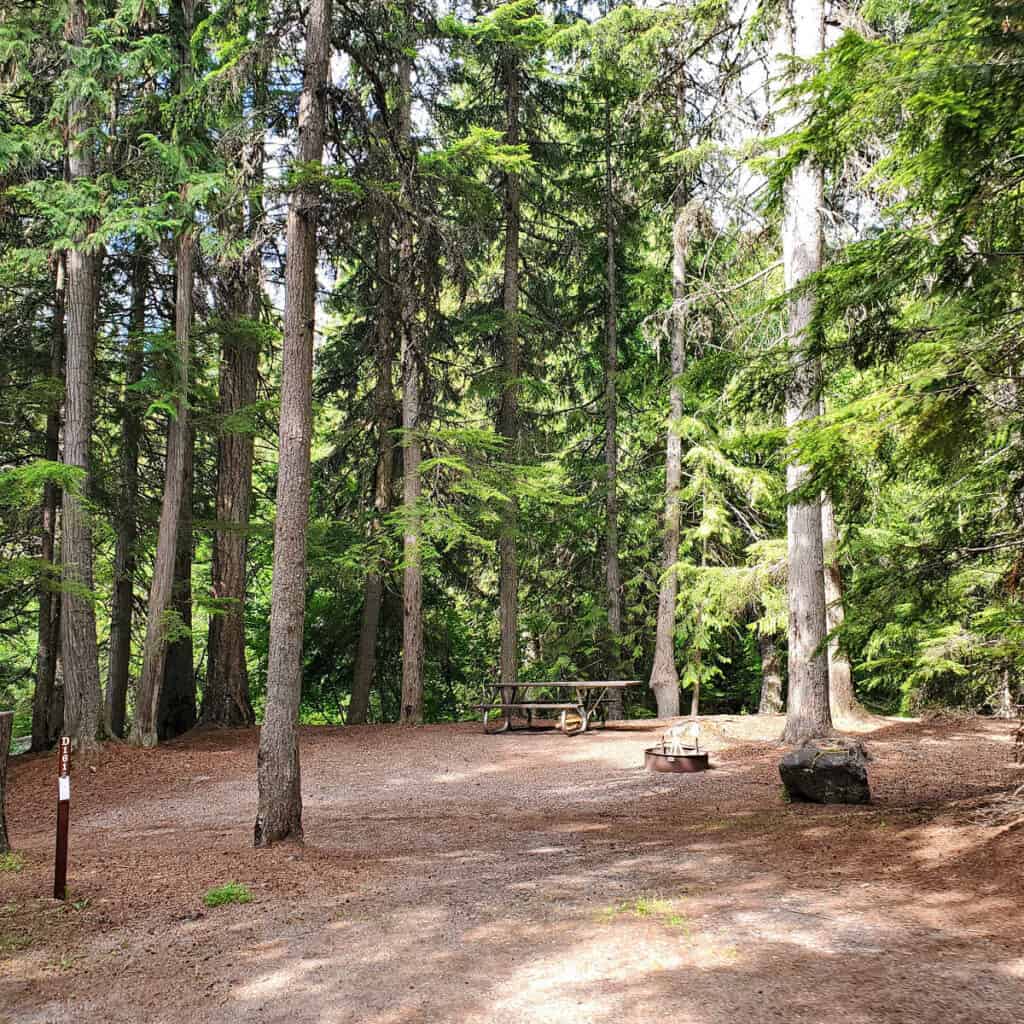 Campsite D161 Fish Creek Campground Glacier National Park