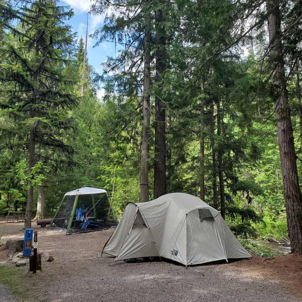 Campsite D162 Fish Creek Campground Glacier National Park