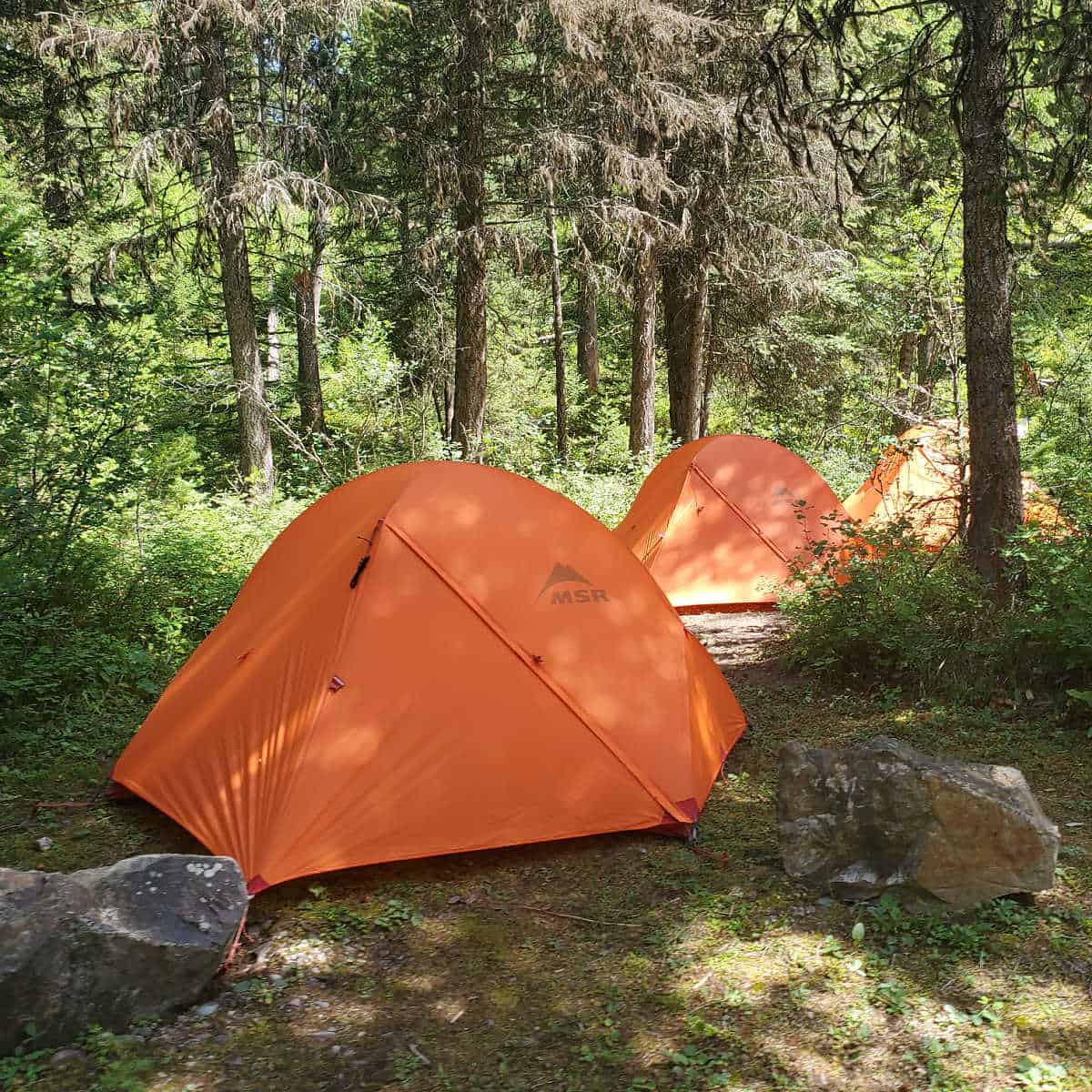 Campsite at Quartz Creek Campground Glacier National Park