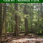 photo of a campsite with text "Avalanche Campground Glacier National Park by ParkRangerJohn.com"