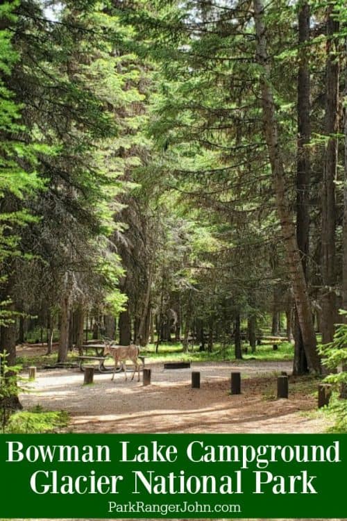Bowman Lake Campground Glacier National Park Park Ranger John