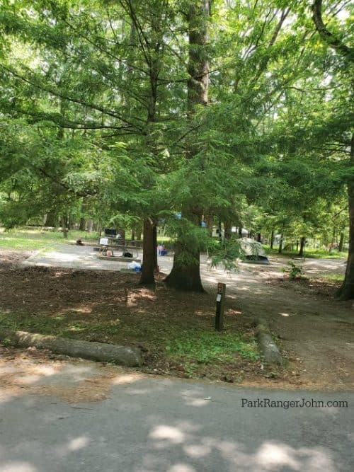 Cades Cove Campground Great Smoky Mountains Park Ranger John