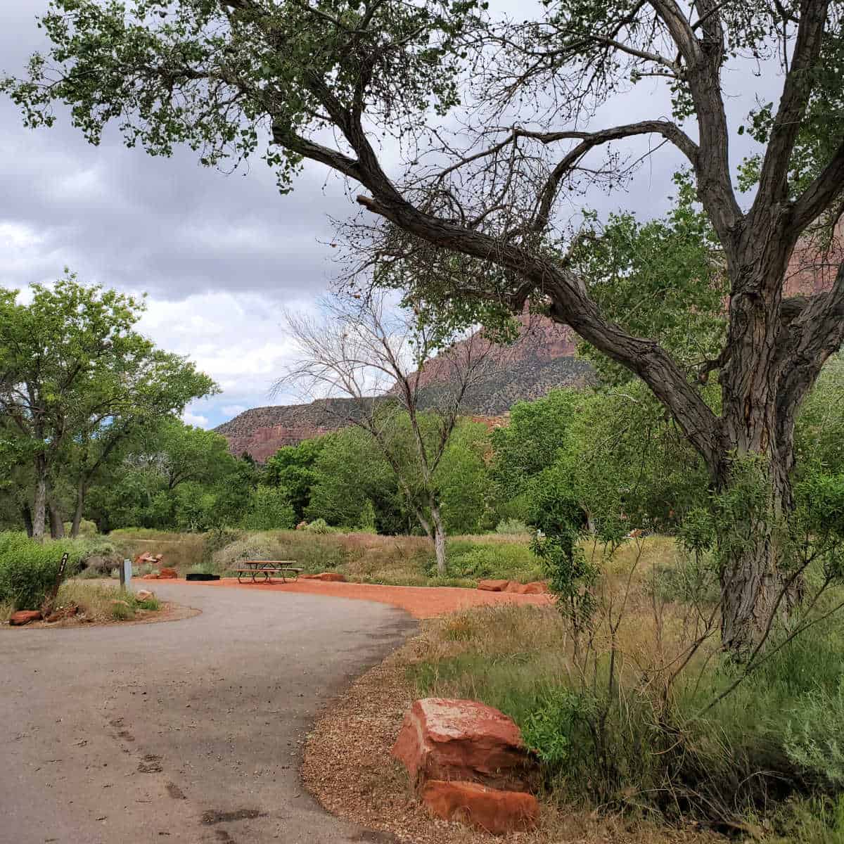 Campsite A11 Watchman Campground Zion National Park