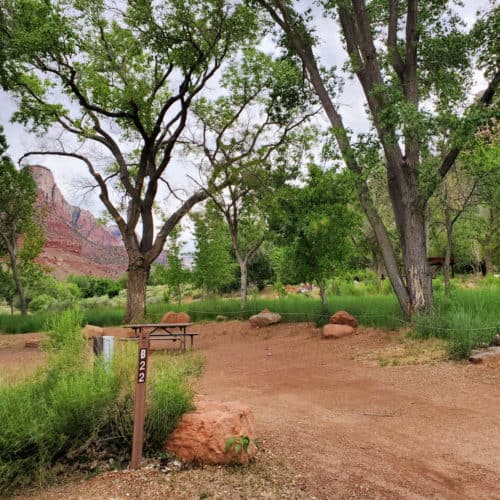 Watchman Campground Zion National Park Park Ranger John