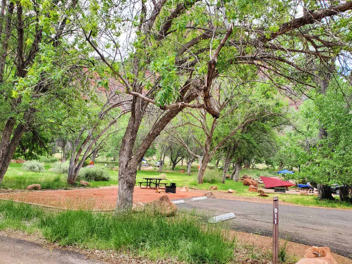 Campsite D11 Watchman Campground Zion National Park