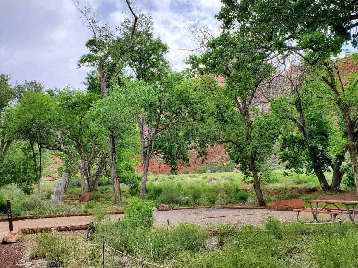 Campsite D24 Watchman Campground Zion National Park