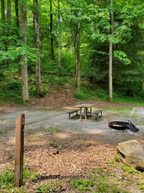 Elkmont Campground Great Smoky Mountains National Park Park Ranger John