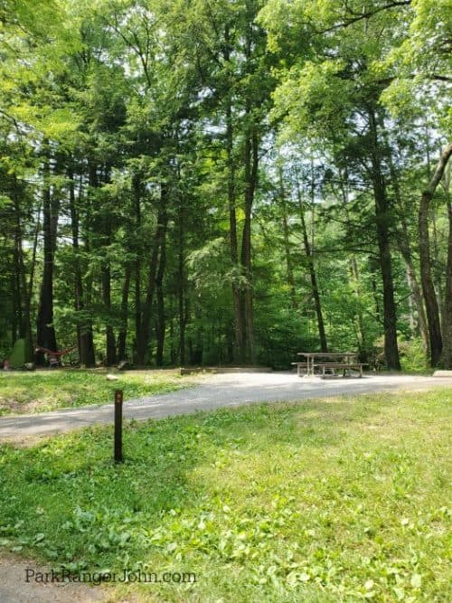 Elkmont Campground Great Smoky Mountains National Park Park Ranger John