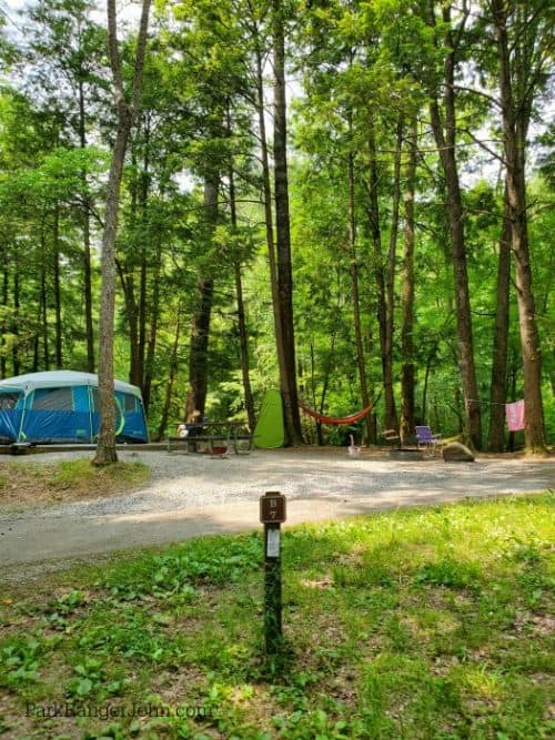 Elkmont Campground Great Smoky Mountains National Park Park Ranger John