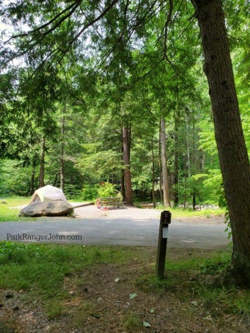 Elkmont Campground Great Smoky Mountains National Park Park Ranger John