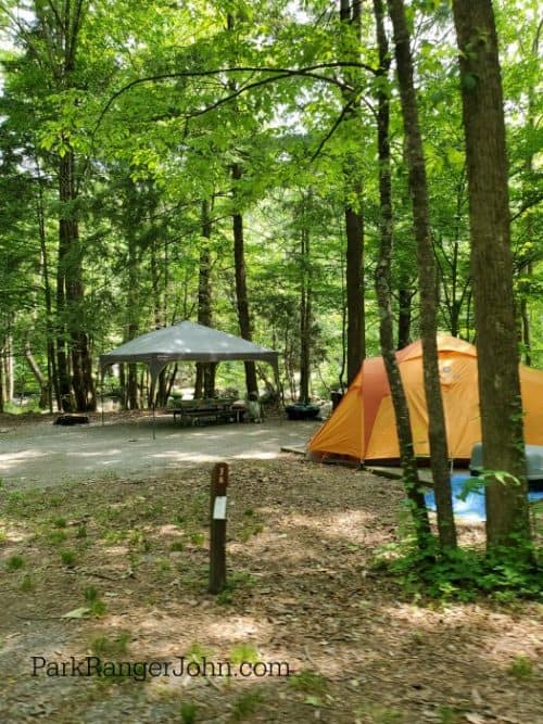 Elkmont Campground Great Smoky Mountains National Park Park Ranger John