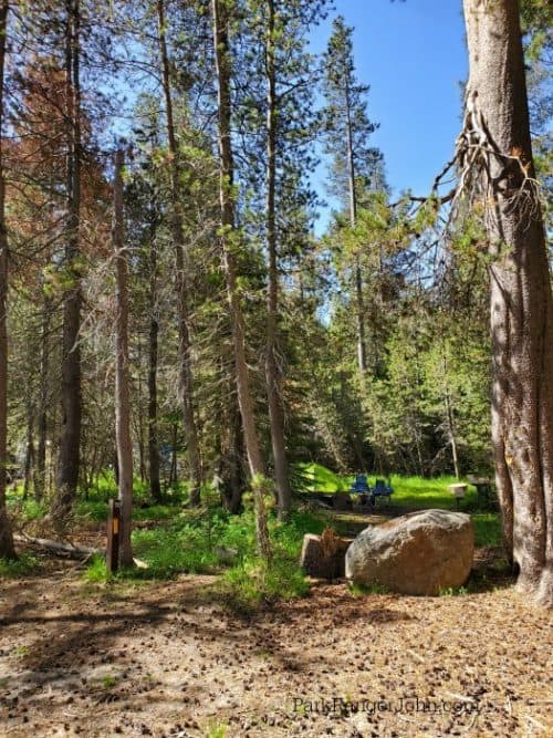 Bridalveil Creek Campground Yosemite National Park Park Ranger John