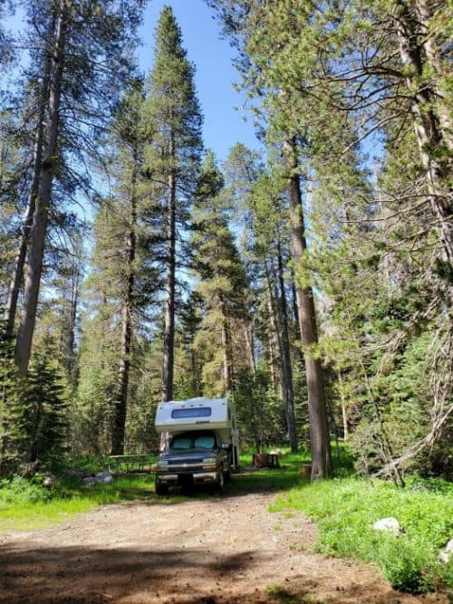 Bridalveil Creek Campground Yosemite National Park Park Ranger John