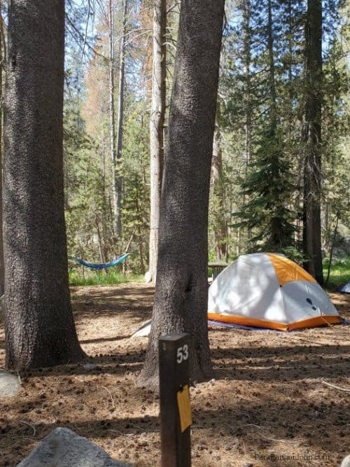 Bridalveil Creek Campground Yosemite National Park Park Ranger John