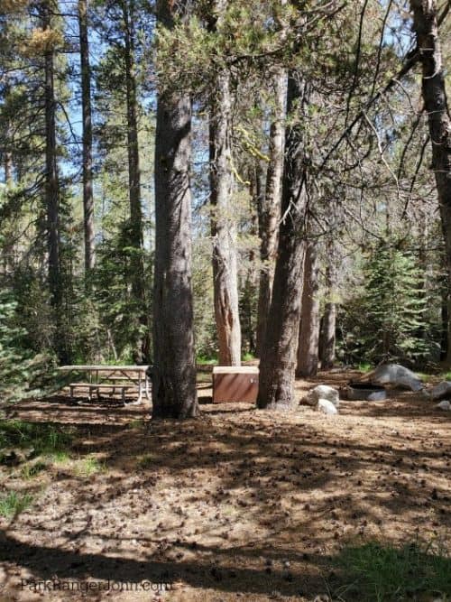 Bridalveil Creek Campground Yosemite National Park Park Ranger John