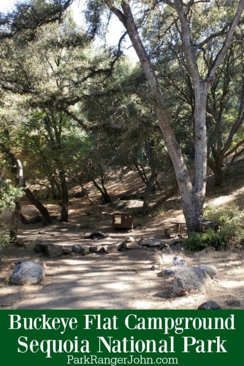 Buckeye Flat Campground Sequoia National Park Park Ranger John
