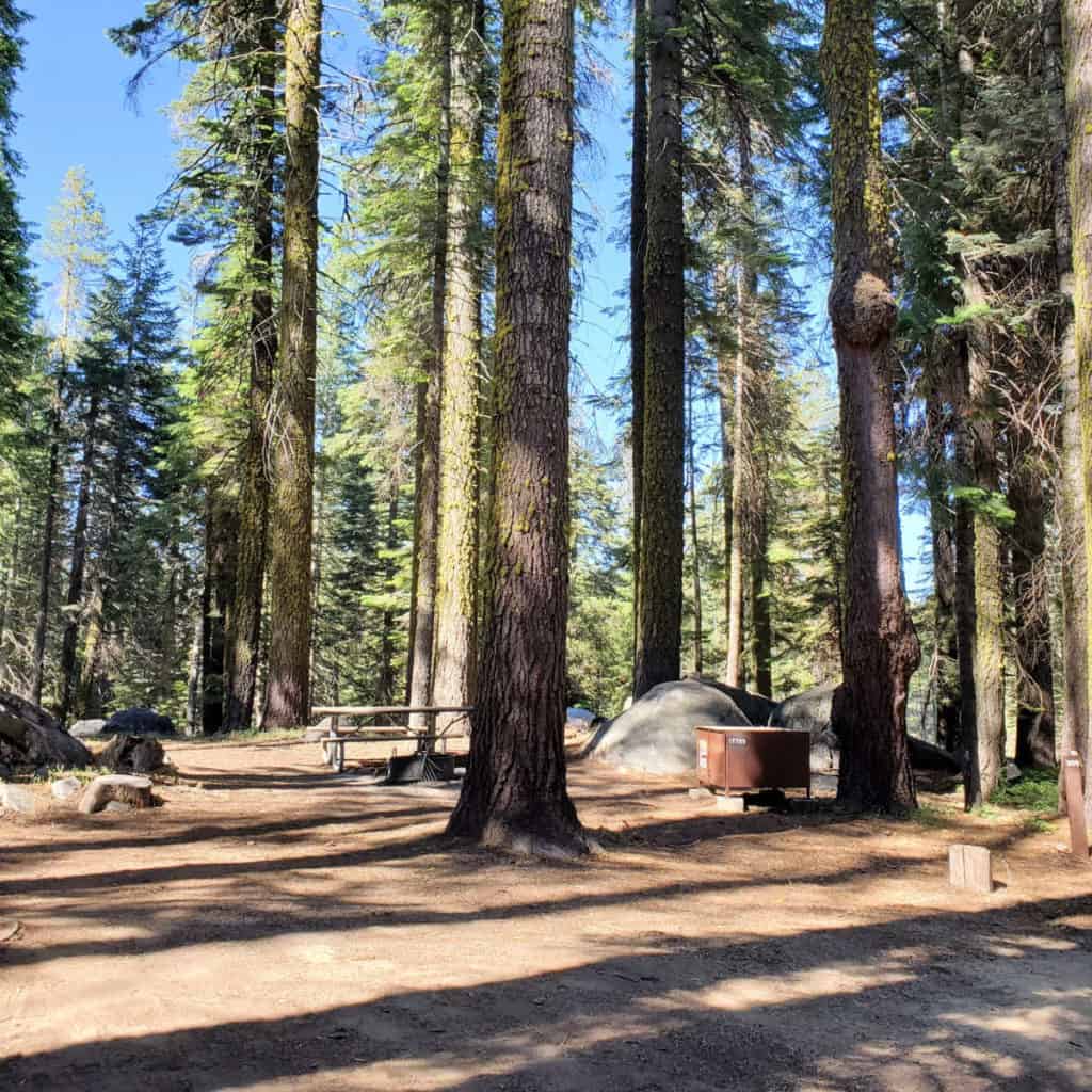 Campsite 209 Crane Flat Campground Yosemite National Park