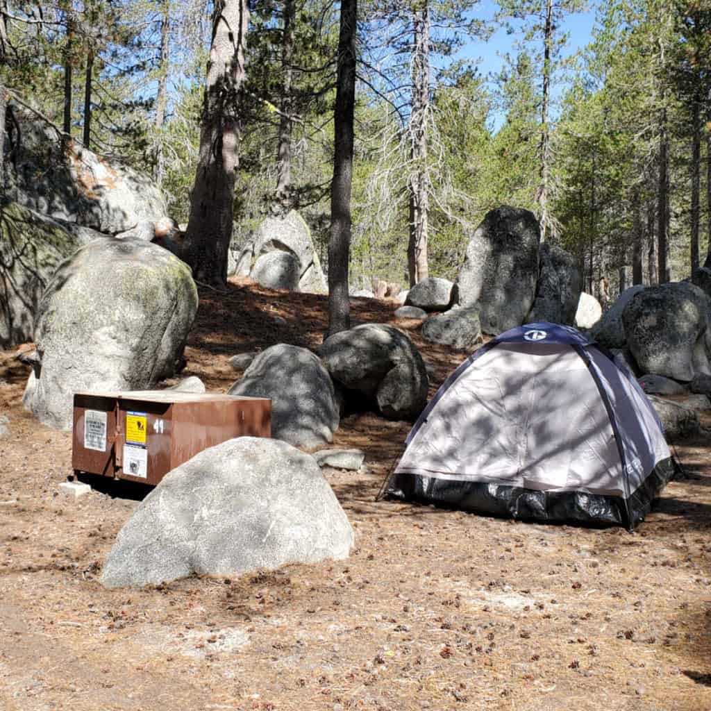 Campsite in Bridalveil Creek Campground Yosemite National Park
