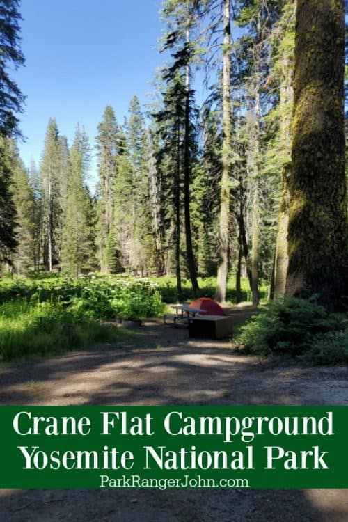 Crane Flat Campground Yosemite National Park Park Ranger John