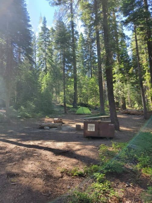 Crane Flat Campground Yosemite National Park Park Ranger John
