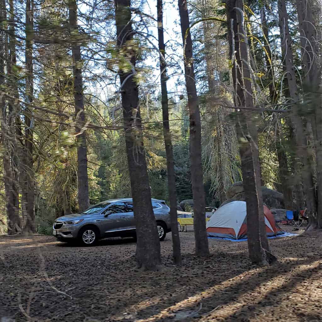 Campsite at Tamarack Flat Campground in Yosemite National Park