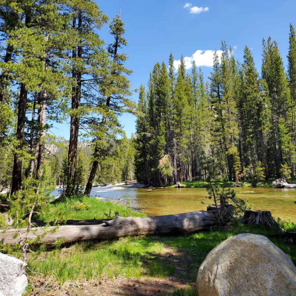Toulumne River next to the Toulumne Campground in Yosemite National Park