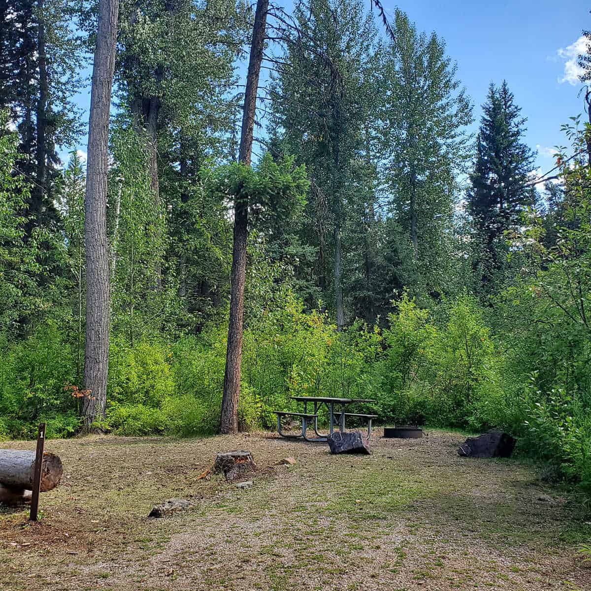 Campsite 1 Logging Creek Campground Glacier National Park