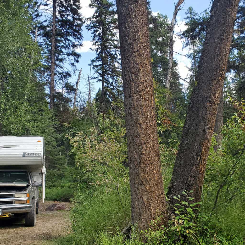 Campsite 2 Logging Creek Campground Glacier National Park