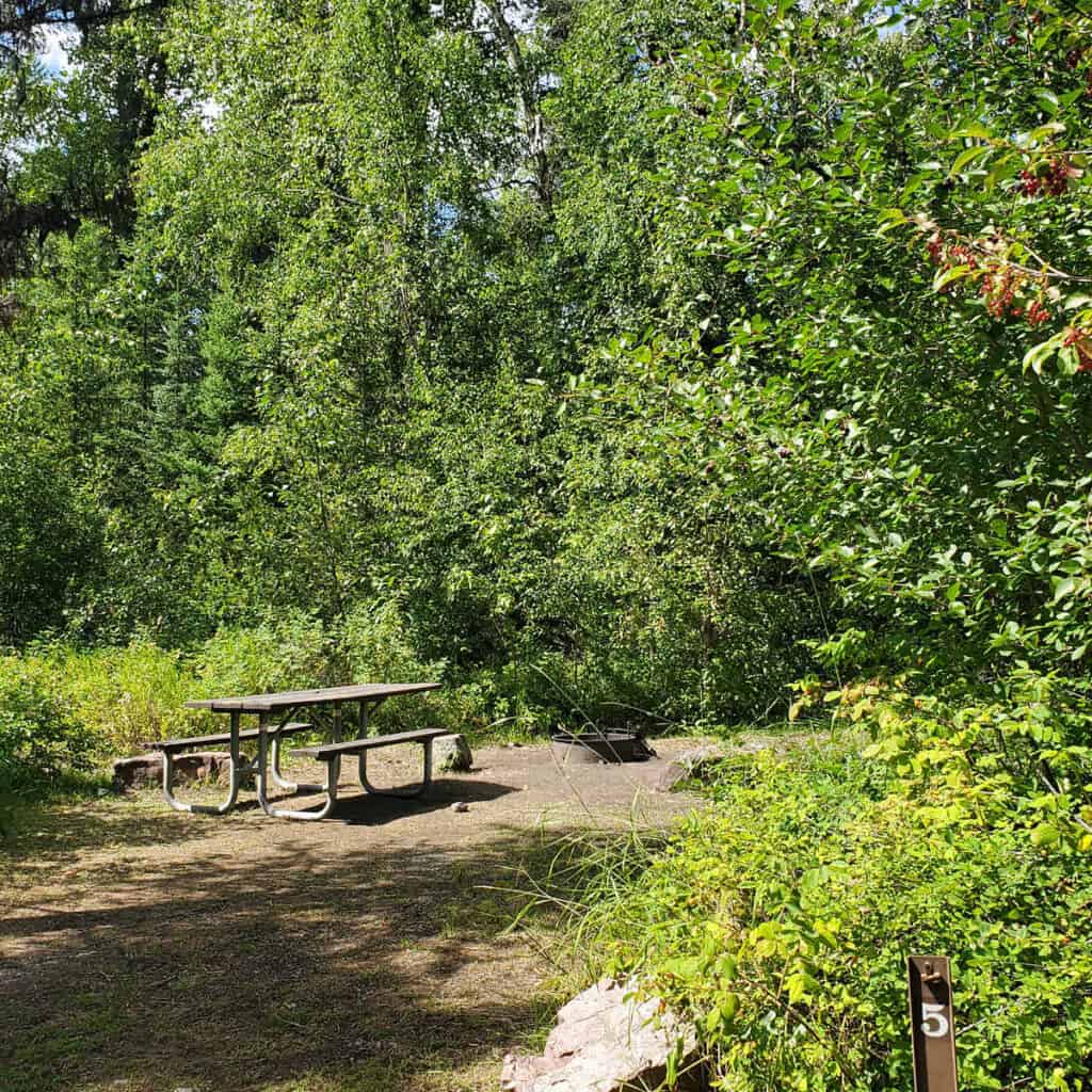 Campsite 5 Logging Creek Campground Glacier National Park