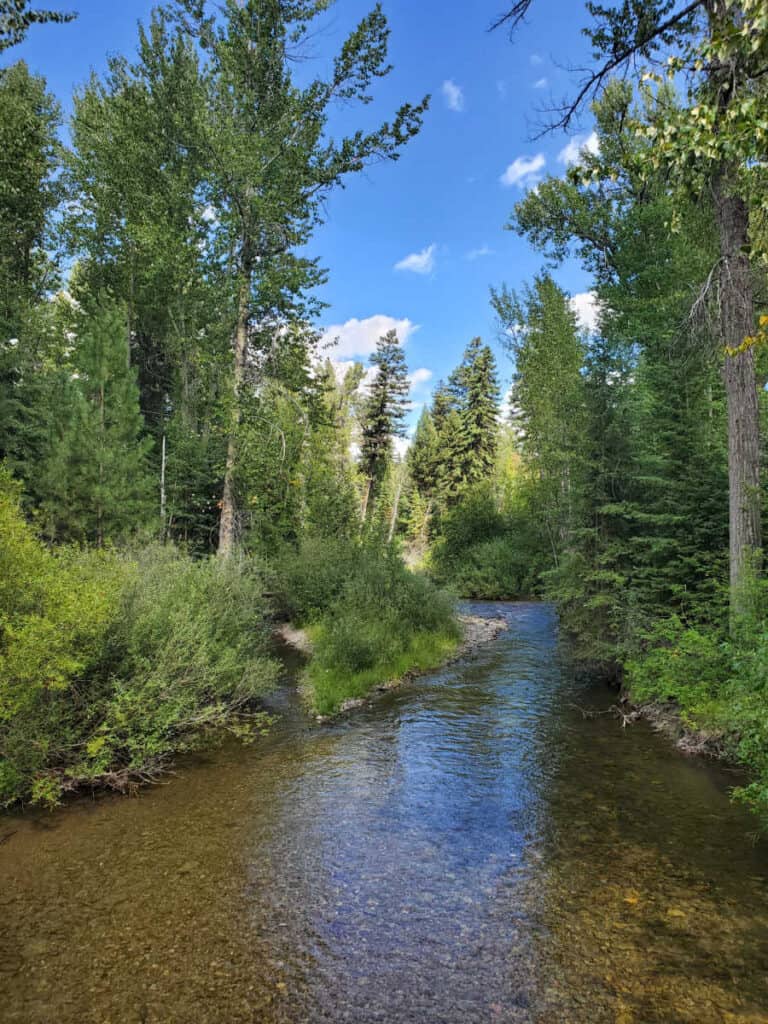 Logging Creek Glacier National Park