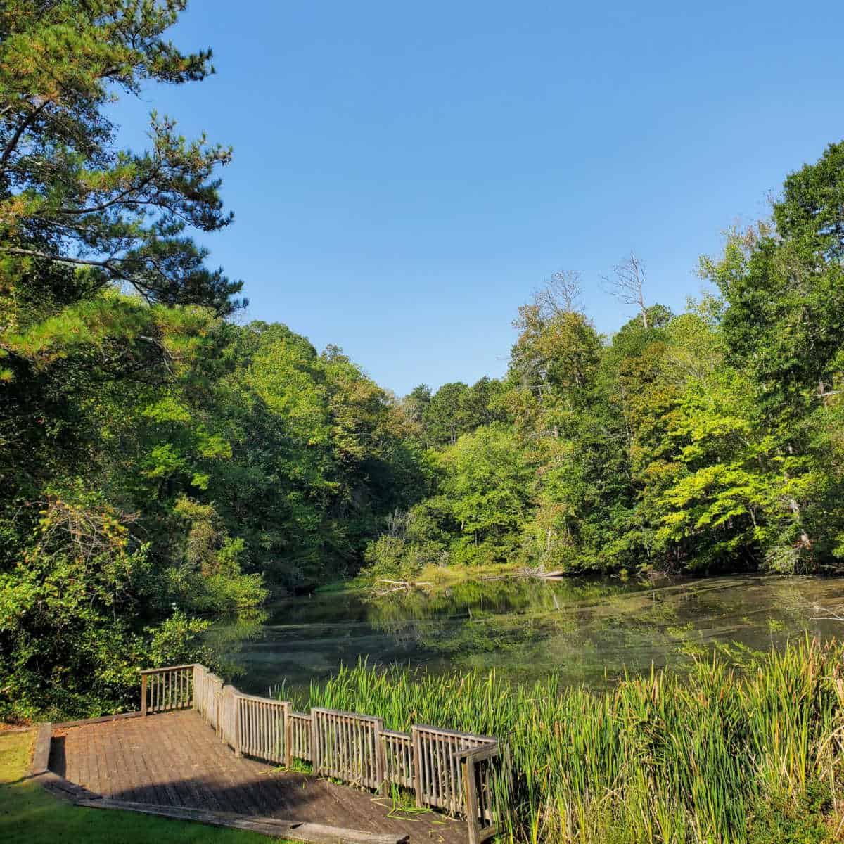 Chattahoochee River National Recreation Area overlook Georgia