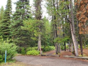 campground colter b35