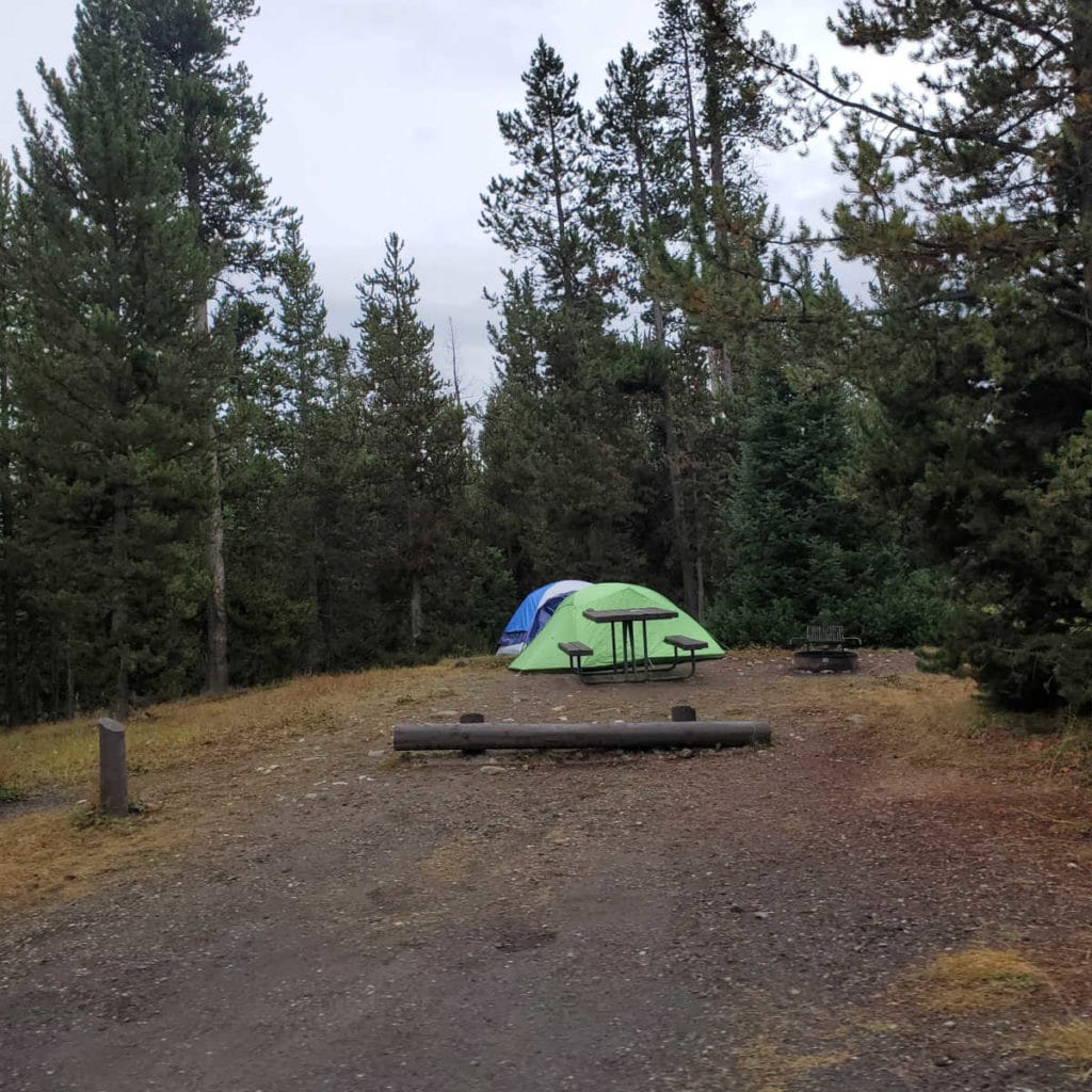 Indian Creek Campground Yellowstone NP