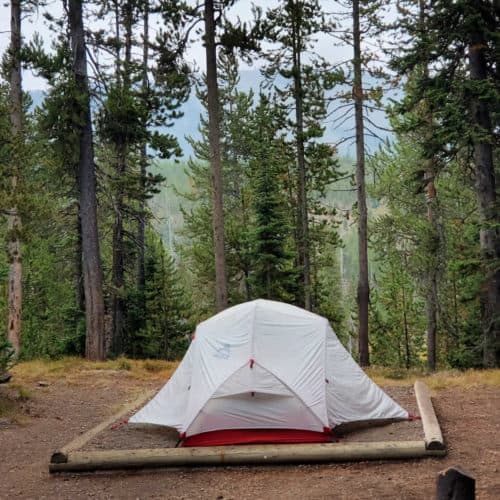 Lewis Lake Campground Yellowstone National Park