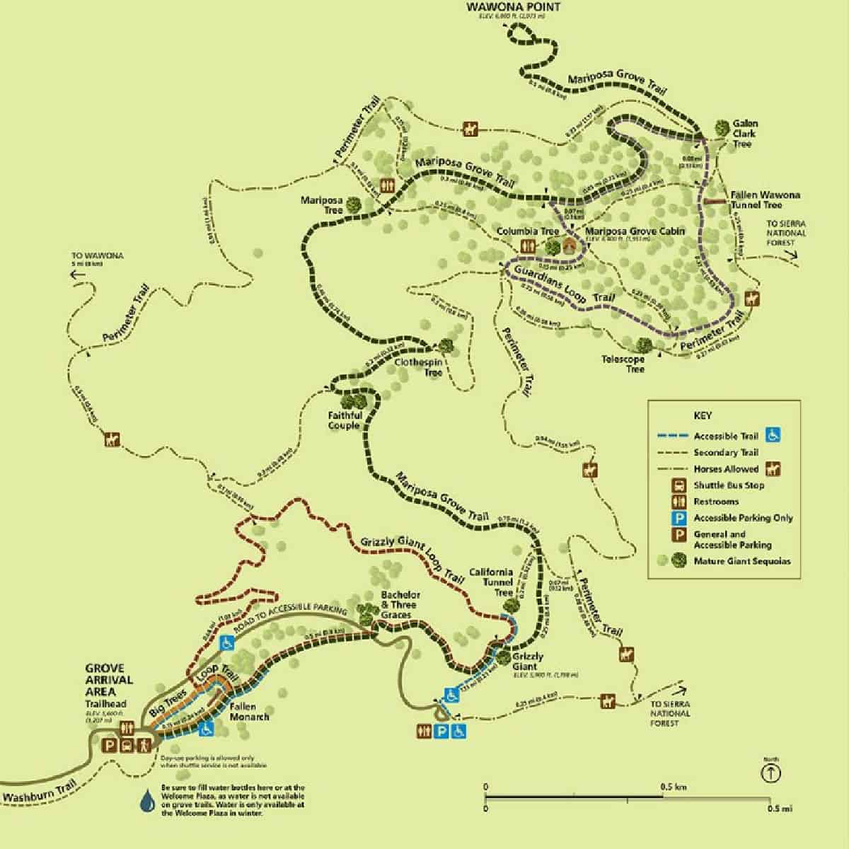 Map of Hiking trails in the Mariposa Grove of Giant Sequoia Trees at Yosemite National Park