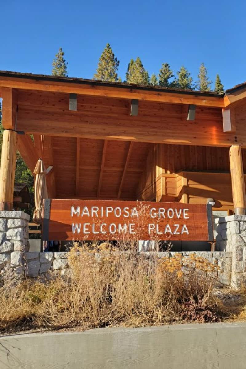 Mariposa Grove Welcome Plaza at Yosemite National Park