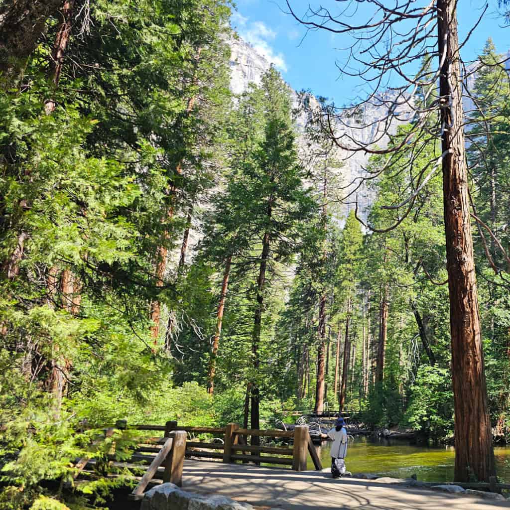 Park visitor exploring the Yosemite Valley