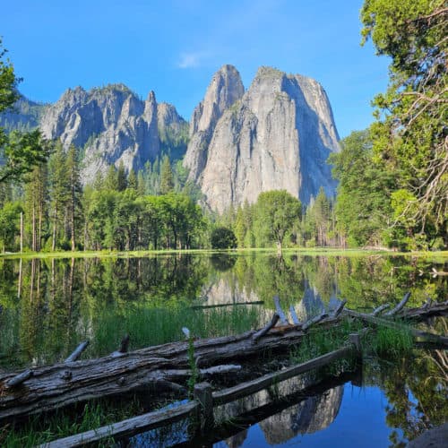 Water sitting in Yosemite Valley with a log laying down, Green trees reflecting in the water, rock cliffs and blue skies