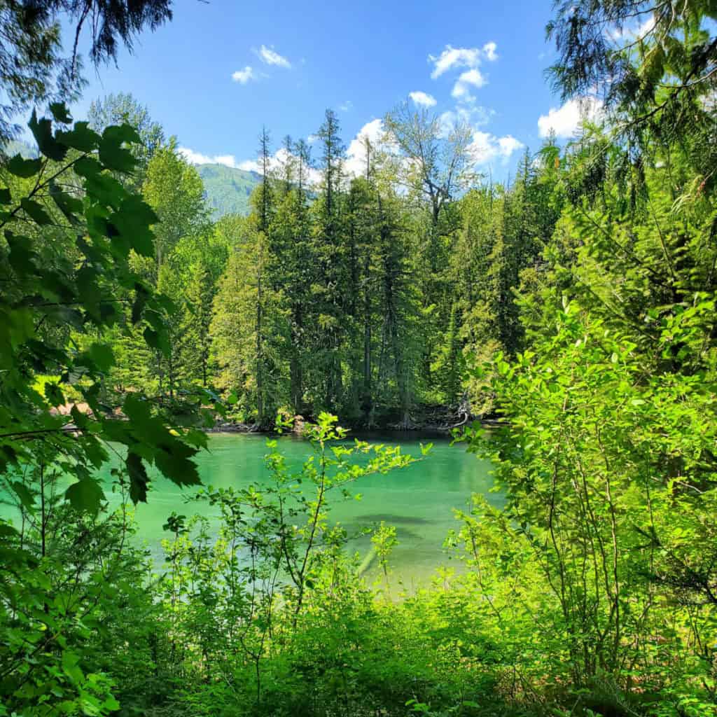 view from room in Apgar Village Lodge Glacier National Park