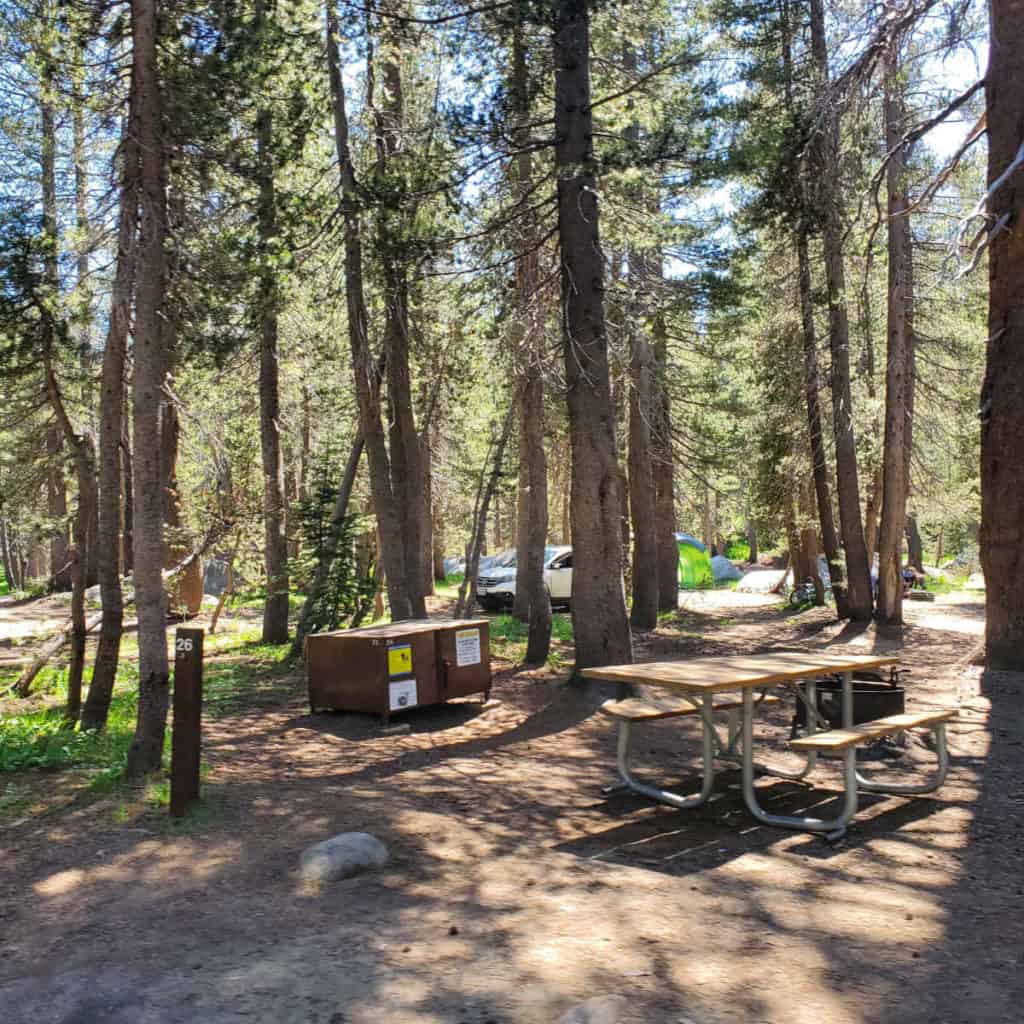 Campsite 26 Porcupine Flat Campground Yosemite National Park