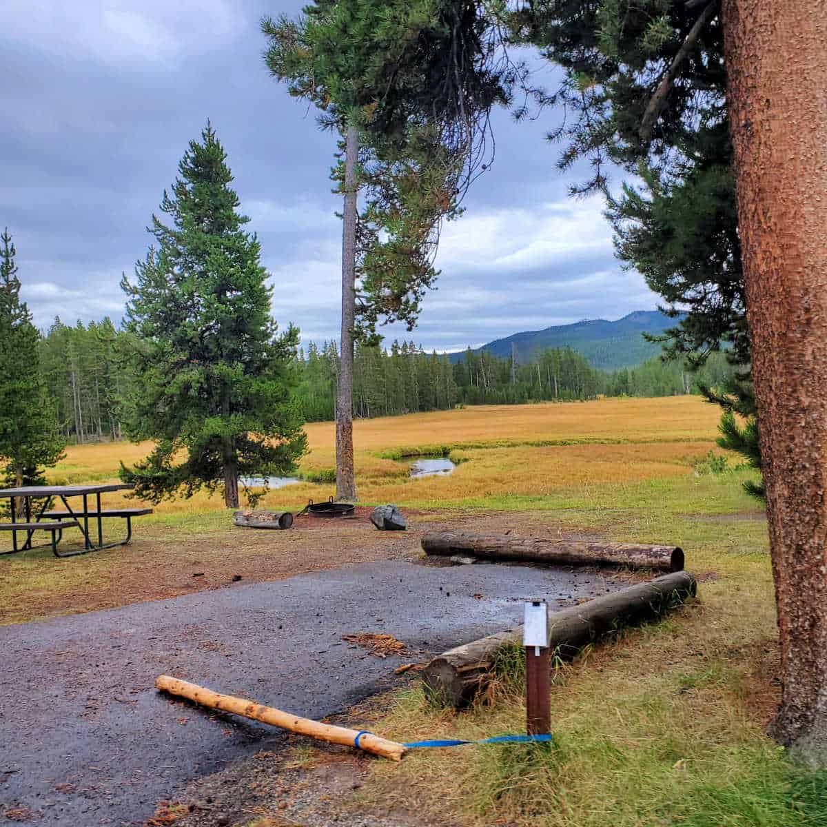 Campsite in Norris Campground Yellowstone National Park