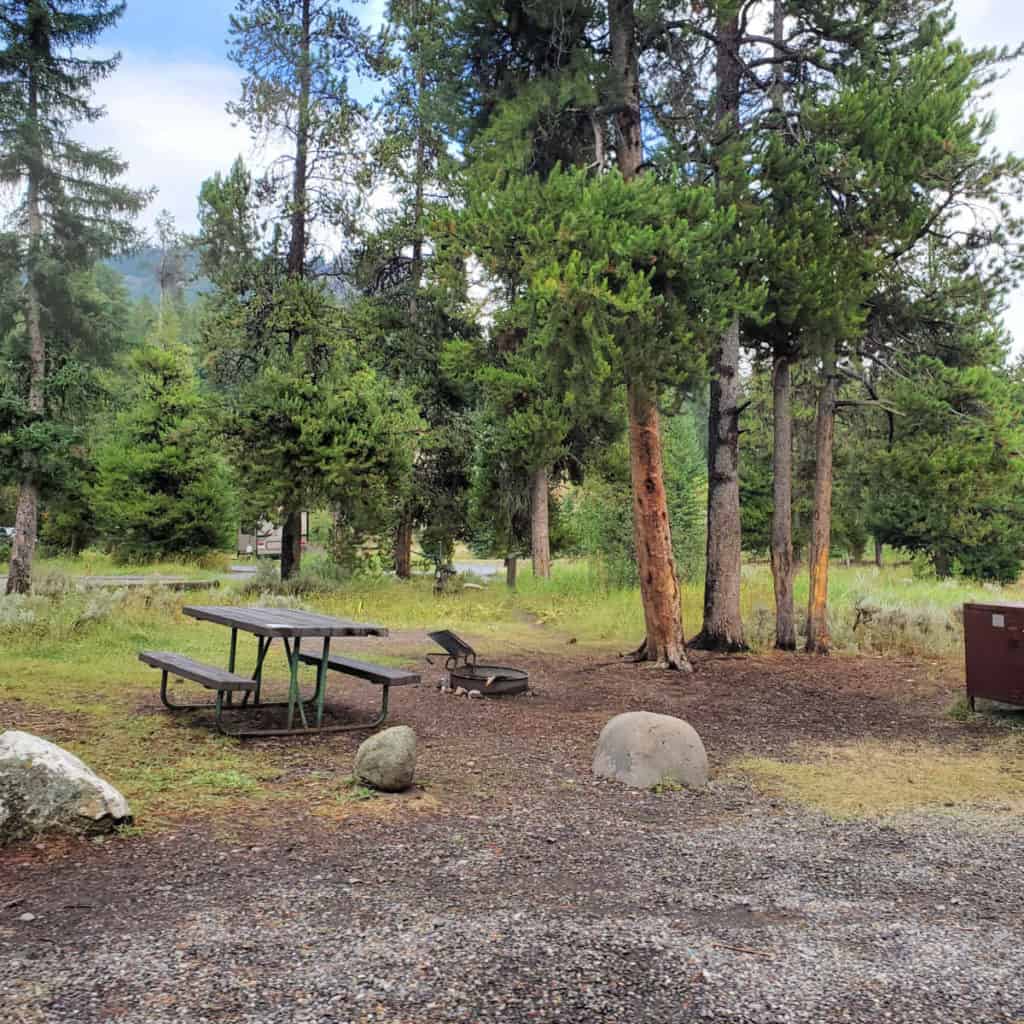 Campsite in Pebble Creek Campground Yellowstone National Park