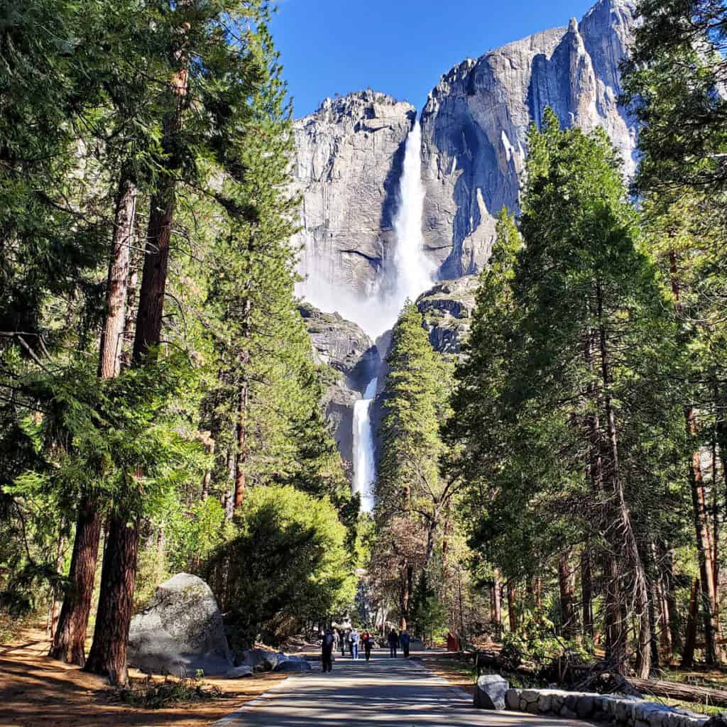 Yosemite Falls in Yosemite National Park
