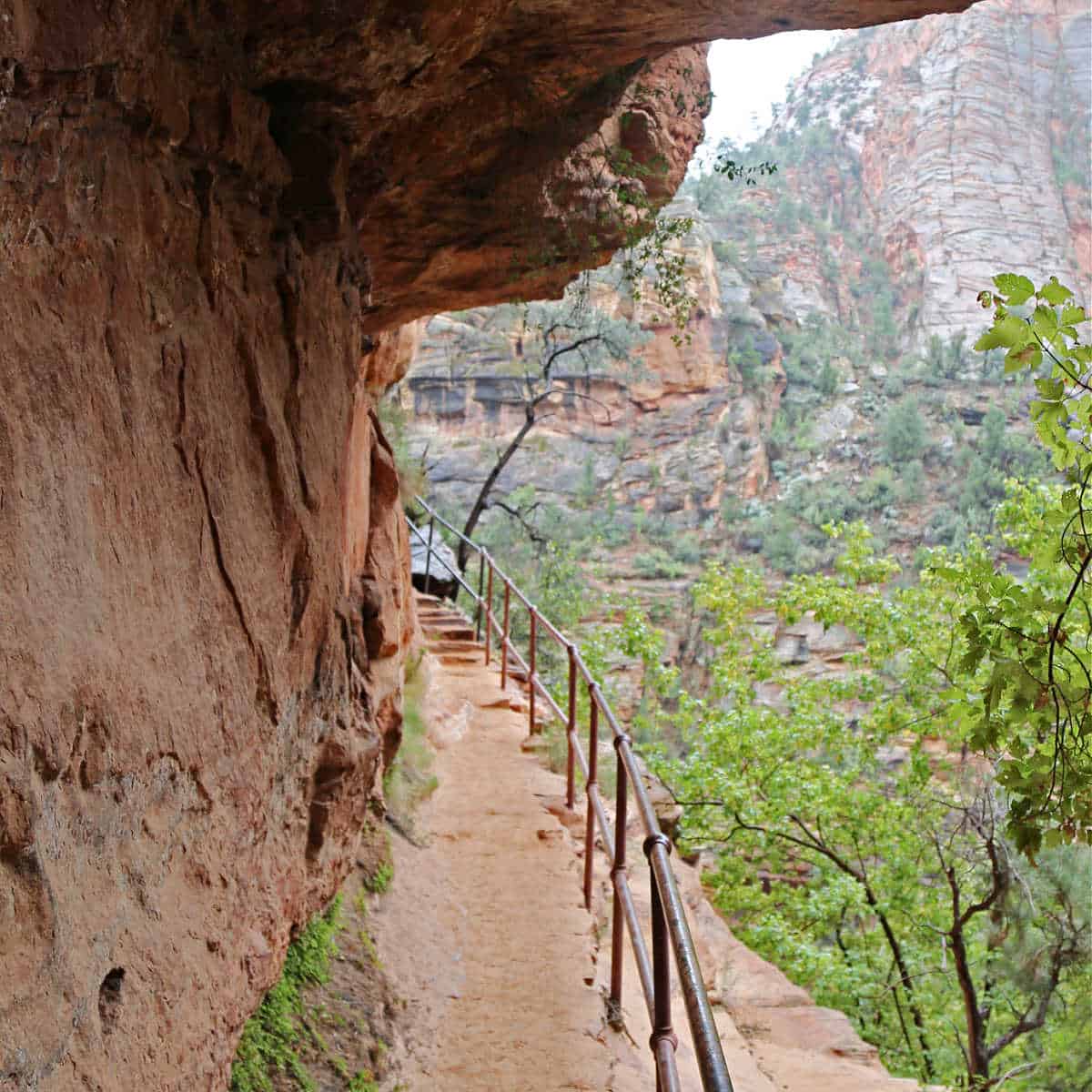 TGHe Canyon Overlook Trail has sereral areas with sharp drop offs and is one of my favorite trails in Zion! 