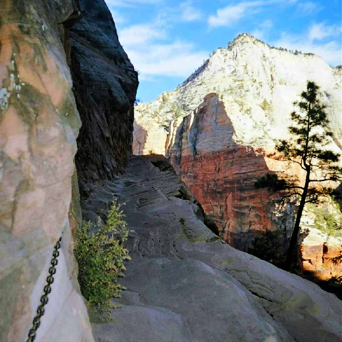 Hidden Canyon is one of my all time favorite hikes in Zion National Park and is a great add on when hiking from Weeping Rock through Echo Canyon up to Observation Point. Hopefully the rock slide will be cleared so park visitors can access this trail again in the future