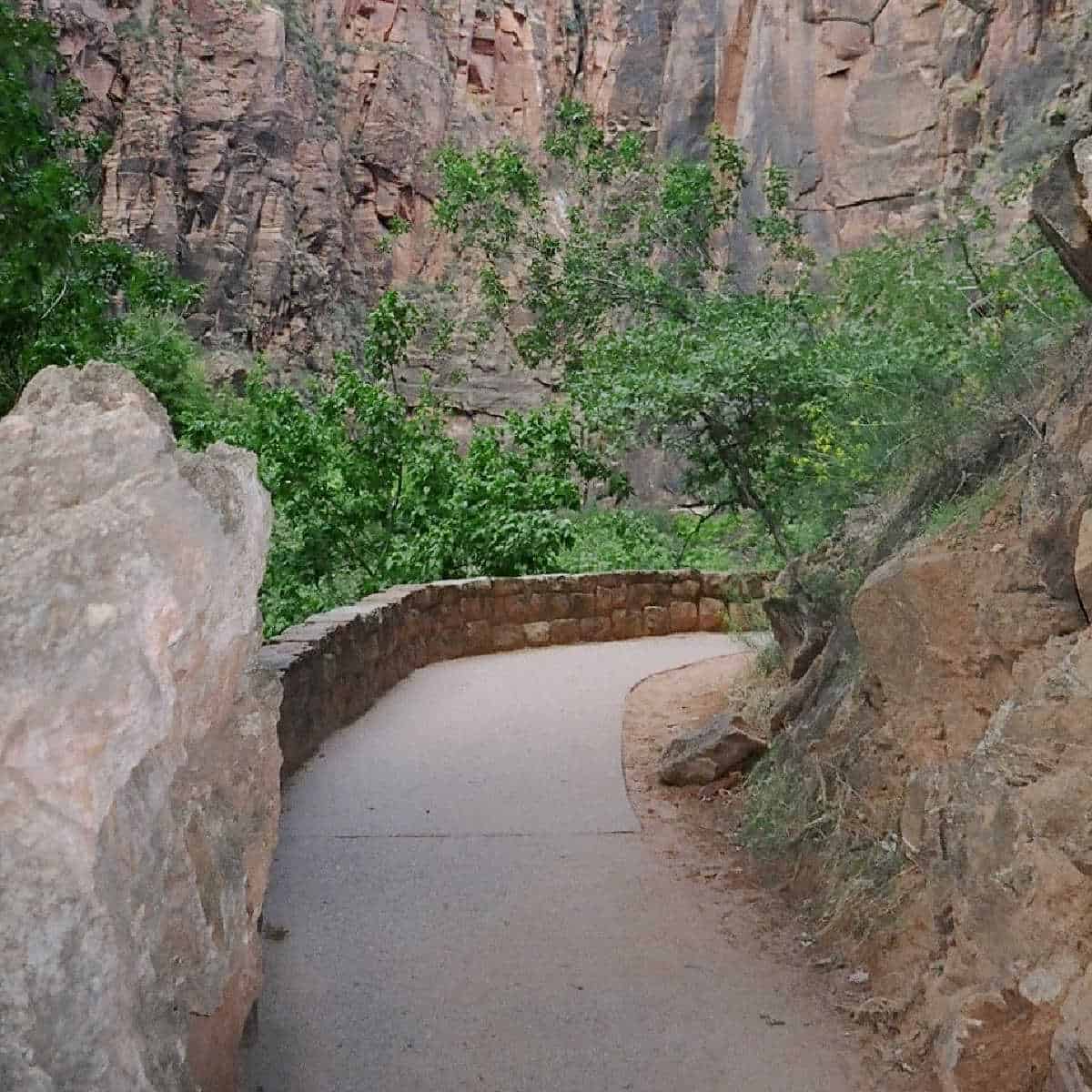 The Riverside Walk is a leisurely 1 mile hike along the Virgin River! 